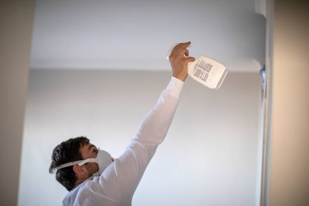 Best Crawl Space Mold Removal  in Munsons Corners, NY