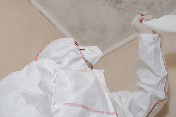 Certified Mold Removal in Munsons Corners, NY