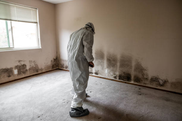 Best Residential Mold Removal  in Munsons Corners, NY