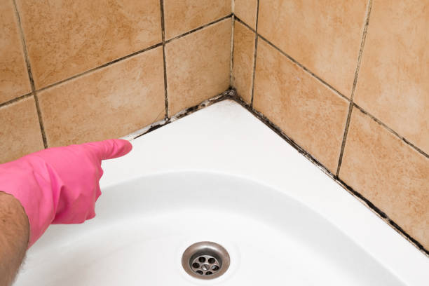 Best Residential Mold Removal  in Munsons Corners, NY
